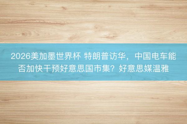 2026美加墨世界杯 特朗普访华,中国电车能否加快干预好意思国市集?好意思媒温雅