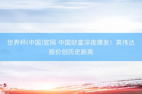 世界杯(中国)官网 中国财富深夜爆发！英伟达股价创历史新高