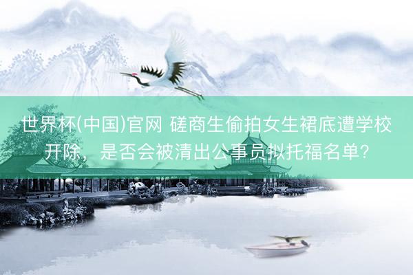 世界杯(中国)官网 磋商生偷拍女生裙底遭学校开除，是否会被清出公事员拟托福名单？