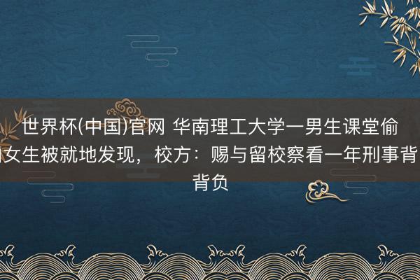 世界杯(中国)官网 华南理工大学一男生课堂偷拍女生被就地发现，校方：赐与留校察看一年刑事背负