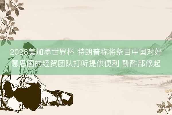 2026美加墨世界杯 特朗普称将条目中国对好意思国的经贸团队打听提供便利 酬酢部修起