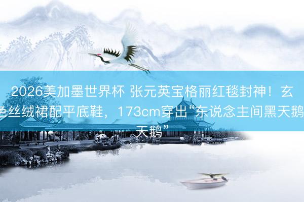 2026美加墨世界杯 张元英宝格丽红毯封神！玄色丝绒裙配平底鞋，173cm穿出“东说念主间黑天鹅”
