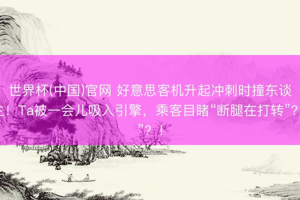 世界杯(中国)官网 好意思客机升起冲刺时撞东谈主！Ta被一会儿吸入引擎，乘客目睹“断腿在打转”？！