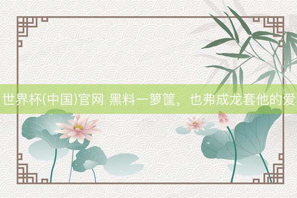 世界杯(中国)官网 黑料一箩筐，也弗成龙套他的爱