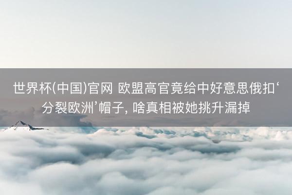 世界杯(中国)官网 欧盟高官竟给中好意思俄扣‘分裂欧洲’帽子， 啥真相被她挑升漏掉