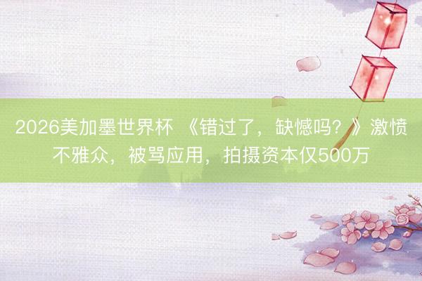 2026美加墨世界杯 《错过了，缺憾吗？》激愤不雅众，被骂应用，拍摄资本仅500万