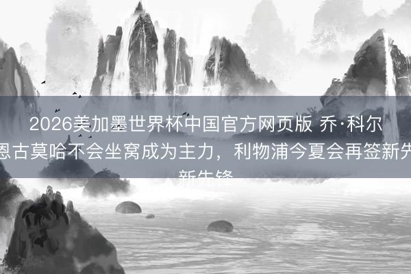 2026美加墨世界杯中国官方网页版 乔·科尔：恩古莫哈不会坐窝成为主力，利物浦今夏会再签新先锋