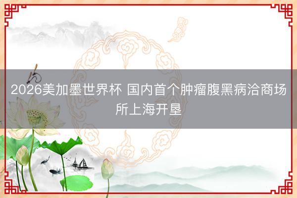 2026美加墨世界杯 国内首个肿瘤腹黑病洽商场所上海开垦