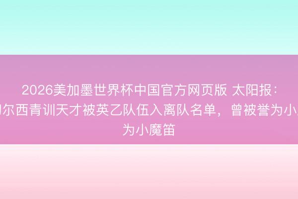 2026美加墨世界杯中国官方网页版 太阳报:前切尔西青训天才被英乙队伍入离队名单,曾被誉为小魔笛