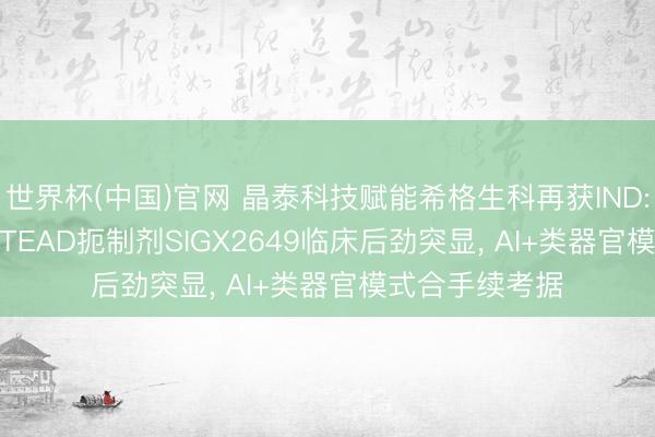 世界杯(中国)官网 晶泰科技赋能希格生科再获IND: 强活性 pan-TEAD扼制剂SIGX2649临床后劲突显， AI+类器官模式合手续考据