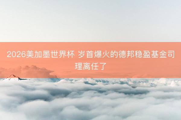 2026美加墨世界杯 岁首爆火的德邦稳盈基金司理离任了