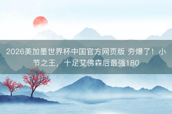 2026美加墨世界杯中国官方网页版 夯爆了！小节之王，十足艾佛森后最强180