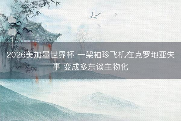 2026美加墨世界杯 一架袖珍飞机在克罗地亚失事 变成多东谈主物化