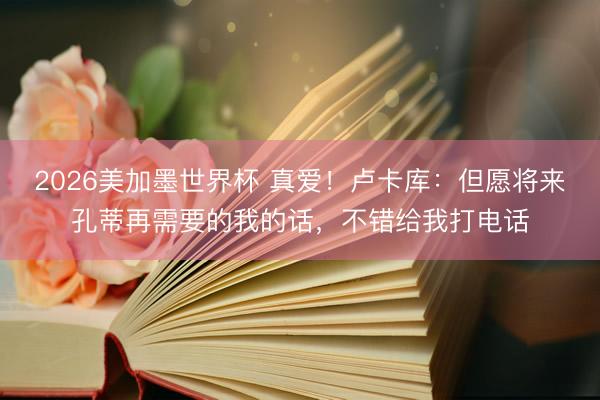 2026美加墨世界杯 真爱！卢卡库：但愿将来孔蒂再需要的我的