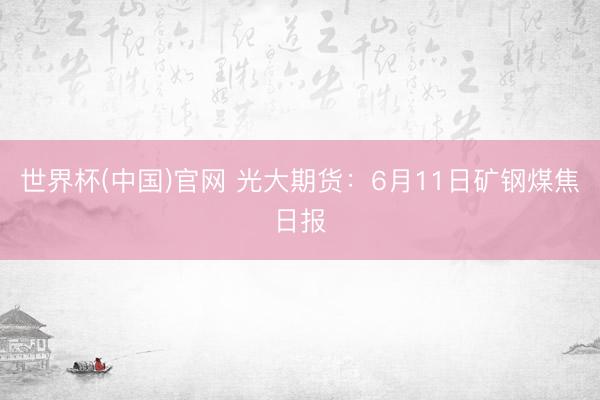 世界杯(中国)官网 光大期货：6月11日矿钢煤焦日报