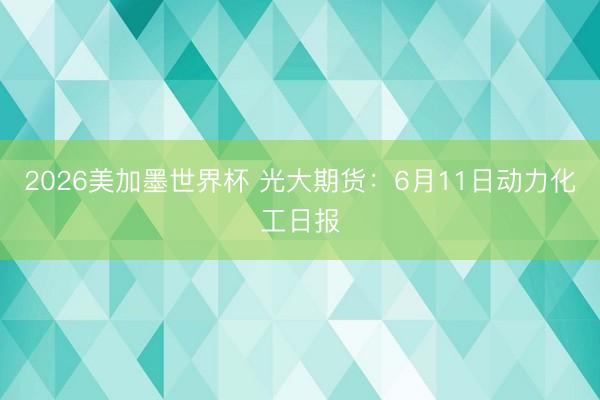 2026美加墨世界杯 光大期货：6月11日动力化工日报