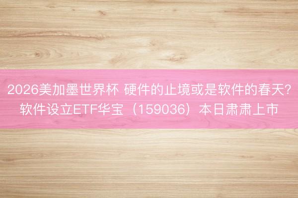 2026美加墨世界杯 硬件的止境或是软件的春天？软件设立ETF华宝（159036）本日肃肃上市