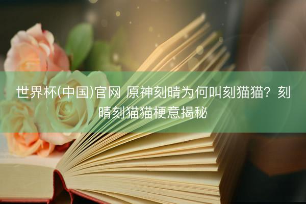 世界杯(中国)官网 原神刻晴为何叫刻猫猫？刻晴刻猫猫梗意揭秘
