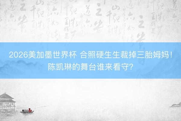 2026美加墨世界杯 合照硬生生裁掉三胎姆妈！陈凯琳的舞台谁来看守？