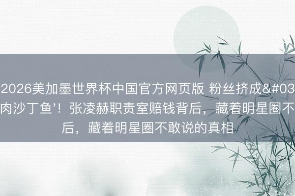 2026美加墨世界杯中国官方网页版 粉丝挤成'东说念主肉沙丁鱼'！张凌赫职责室赔钱背后，藏着明星圈不敢说的真相