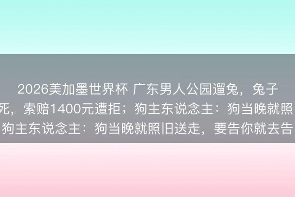 2026美加墨世界杯 广东男人公园遛兔，兔子遭4只未牵绳的犬只咬死，索赔1400元遭拒；狗主东说念主：狗当晚就照旧送走，要告你就去告
