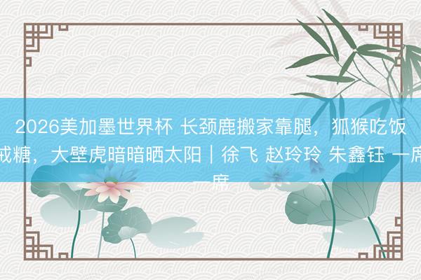 2026美加墨世界杯 长颈鹿搬家靠腿，狐猴吃饭戒糖，大壁虎暗暗晒太阳｜徐飞 赵玲玲 朱鑫钰 一席