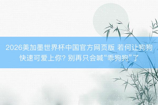 2026美加墨世界杯中国官方网页版 若何让狗狗快速可爱上你? 别再只会喊“乖狗狗”了