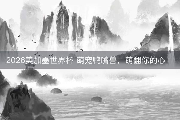2026美加墨世界杯 萌宠鸭嘴兽,萌翻你的心❤️