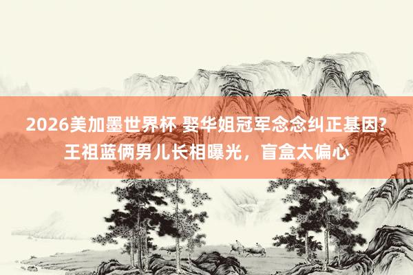 2026美加墨世界杯 娶华姐冠军念念纠正基因?王祖蓝俩男儿长相曝光,盲盒太偏心
